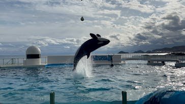 鴨川シーワールドに投稿された画像（2025/1/12）