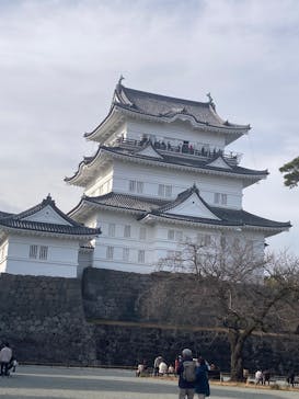 小田原城に投稿された画像（2025/1/12）