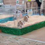 いきもの探検隊上尾に投稿された画像（2025/1/12）