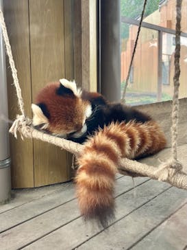 横浜・八景島シーパラダイスに投稿された画像（2025/1/12）