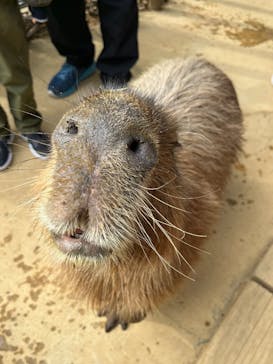 横浜・八景島シーパラダイスに投稿された画像（2025/1/12）