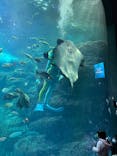 新江ノ島水族館に投稿された画像（2025/1/12）