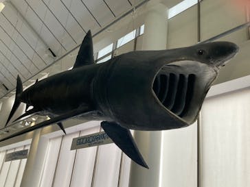 アクアワールド茨城県大洗水族館に投稿された画像（2025/1/12）