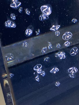 アクアワールド茨城県大洗水族館に投稿された画像（2025/1/12）