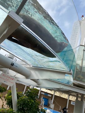 サンシャイン水族館に投稿された画像（2025/1/12）