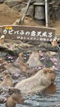 伊豆シャボテン動物公園に投稿された画像（2025/1/12）