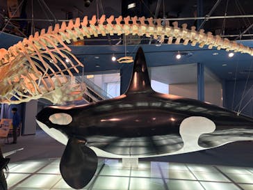 名古屋港水族館に投稿された画像（2025/1/12）