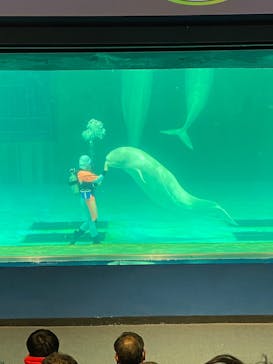 鴨川シーワールドに投稿された画像（2025/1/12）