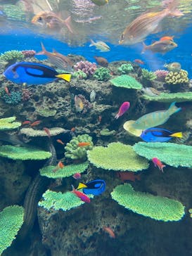 鴨川シーワールドに投稿された画像（2025/1/12）