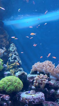 サンシャイン水族館に投稿された画像（2025/1/12）
