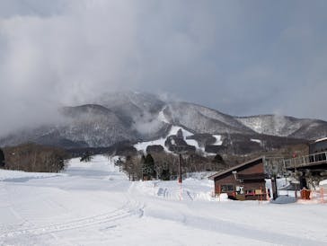 黒姫高原スノーパーク・KUROHIME GREEN GARDENに投稿された画像（2025/1/12）