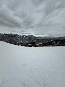 奥利根スノーパークに投稿された画像（2025/1/12）