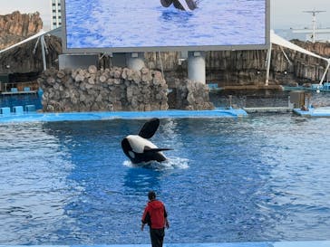 名古屋港水族館に投稿された画像（2025/1/12）