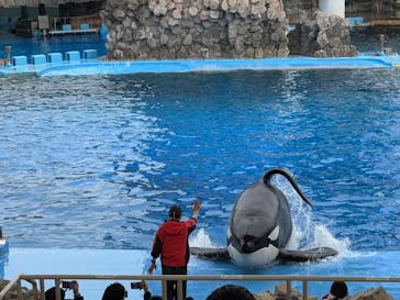 名古屋港水族館に投稿された画像（2025/1/12）