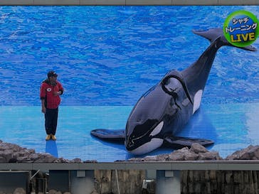 名古屋港水族館に投稿された画像（2025/1/12）