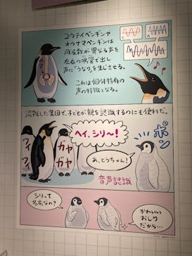 特別展「鳥 ～ゲノム解析が解き明かす新しい鳥類の系統～」国立科学博物館に投稿された画像（2025/1/12）
