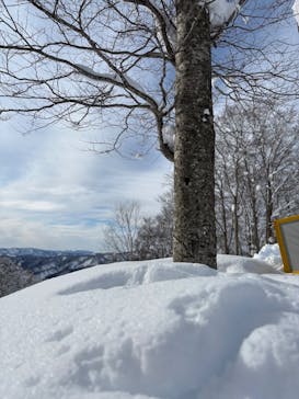 ジュネス栗駒スキー場に投稿された画像（2025/1/12）