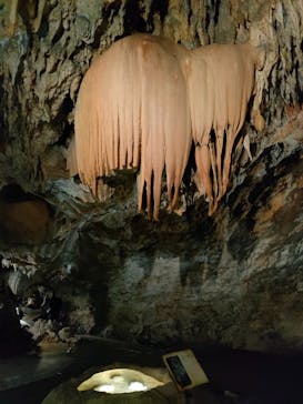 CAVE OKINAWAに投稿された画像（2025/1/12）