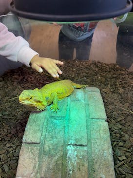 NARA KINGYO MUSEUMに投稿された画像（2025/1/12）