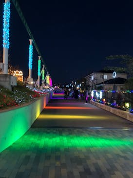 あらかわ遊園に投稿された画像（2025/1/12）