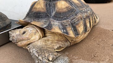 あらかわ遊園に投稿された画像（2025/1/12）