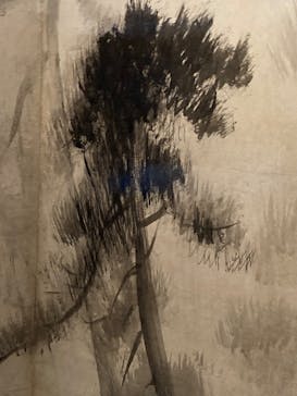 東京国立博物館に投稿された画像（2025/1/12）