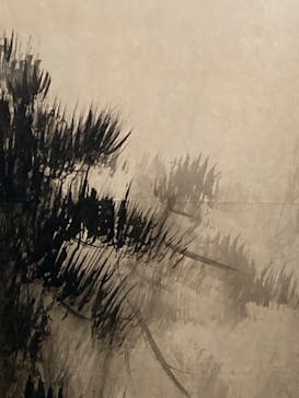 東京国立博物館に投稿された画像（2025/1/12）