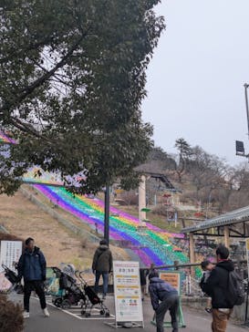 さがみ湖MORI MORIに投稿された画像（2025/1/12）