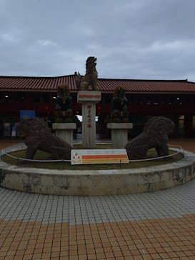 おきなわワールドに投稿された画像（2025/1/12）