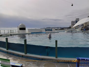鴨川シーワールドに投稿された画像（2025/1/12）