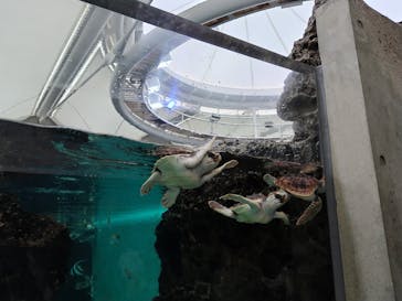 鴨川シーワールドに投稿された画像（2025/1/12）