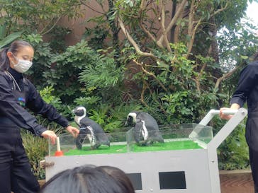 マクセル アクアパーク品川に投稿された画像（2025/1/12）