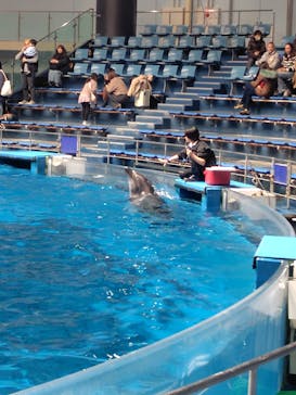 マクセル アクアパーク品川に投稿された画像（2025/1/12）