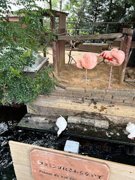 横浜・八景島シーパラダイスに投稿された画像（2025/1/12）