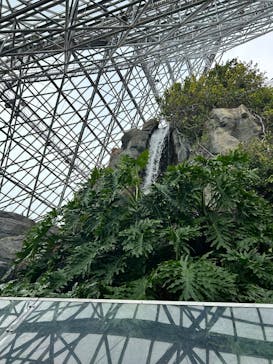 横浜・八景島シーパラダイスに投稿された画像（2025/1/12）