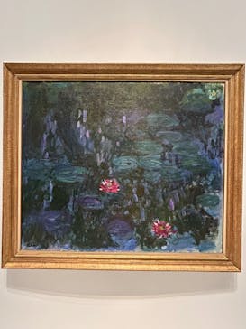 モネ 睡蓮のとき（国立西洋美術館）に投稿された画像（2025/1/12）