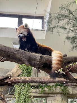 那須どうぶつ王国に投稿された画像（2025/1/12）