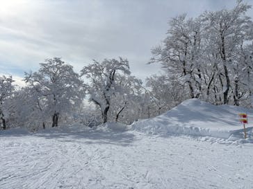オニコウベスキー場に投稿された画像（2025/1/12）