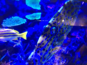 竹島水族館に投稿された画像（2025/1/12）