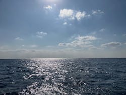 FLOWFISHに投稿された画像（2025/1/12）