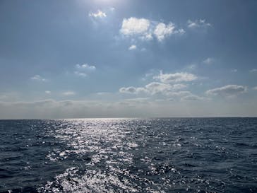 FLOWFISHに投稿された画像（2025/1/12）