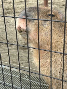 あらかわ遊園に投稿された画像（2025/1/12）