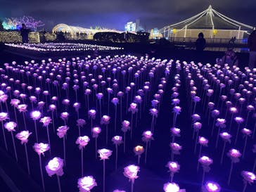 東京メガイルミに投稿された画像（2025/1/12）