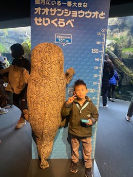 京都水族館に投稿された画像（2025/1/12）