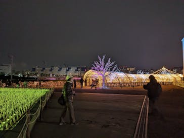 東京メガイルミに投稿された画像（2025/1/12）