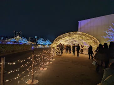 東京メガイルミに投稿された画像（2025/1/12）