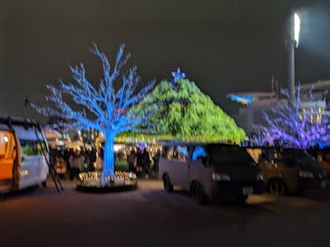 東京メガイルミに投稿された画像（2025/1/12）