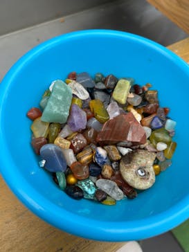 Discovery Worldに投稿された画像（2025/1/12）