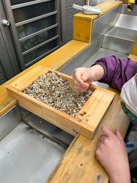 Discovery Worldに投稿された画像（2025/1/12）