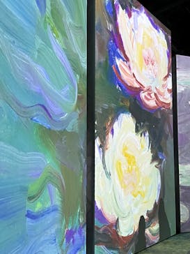 「モネ＆フレンズ・アライブ」神戸展に投稿された画像（2025/1/12）